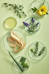 Top view of botanical ingredients in glass dishes including ginseng slices, aloe vera, purple...