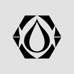 Water Drop Hexagon Geometric Logo Design