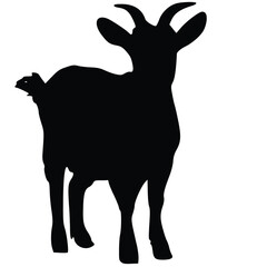 Stylized Goat Illustration in Adobe Illustrator