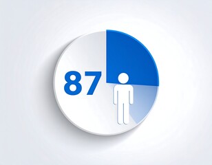 Circular graph showing 87% represented by blue segment.  A pictogram of a person is within the blue section