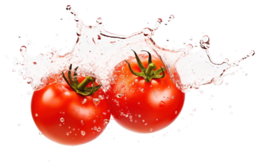 PNG Water splash tomato vegetable plant.