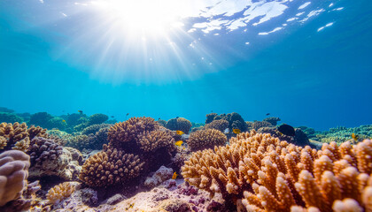 An underwater landscape with a vibrant and healthy coral reef illuminated by the sun shining through the water. Small fish swim in the water, giving life to the image. The image captures the beauty of