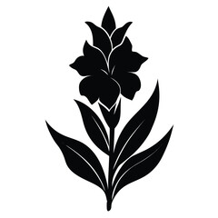 Gladiolus Silhouette Vector Art