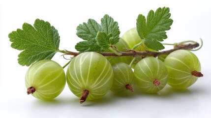 ripe green gooseberries on white background