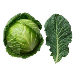 Photo of close up of a fresh green cabbage head and a single leaf isolated on a white background showing its vibrant color and texture