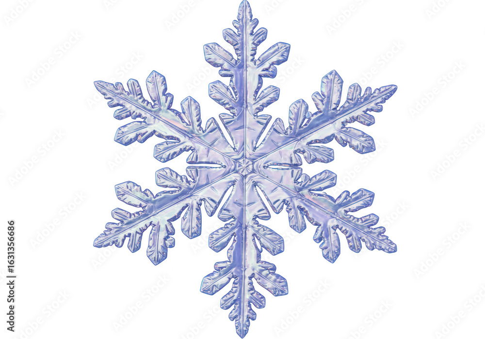 Poster a beautiful, intricate snowflake isolated on a transparent background, showcasing its delicate cryst