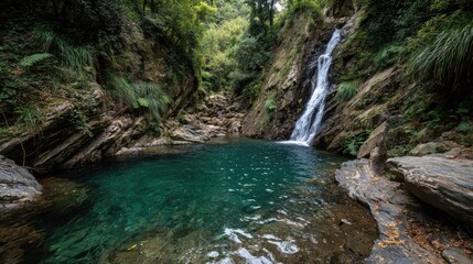 Lush green foliage surrounds a tranquil waterfall cascading into a clear, teal pool