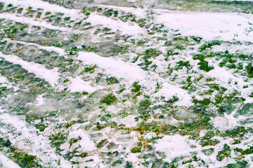 Transition from winter to spring