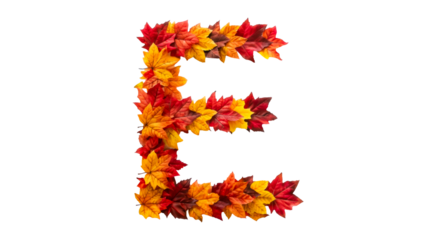 Colorful autumn leaves form letter E design