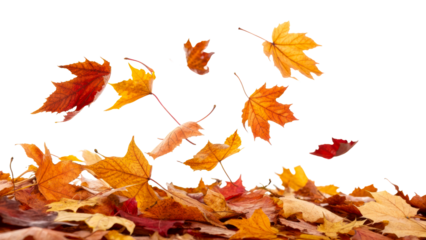 Colorful autumn leaves dancing in the breeze