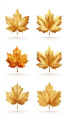 Beautiful collection of golden autumn leaves in various shapes and sizes for seasonal decoration and designs