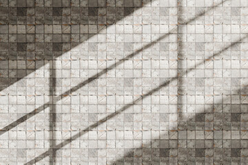 Shadow Texture on Concrete Wall with Sunlight. Minimal Abstract Background. 3d rendering.