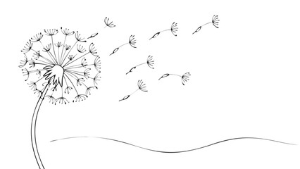 A dandelion with seeds blowing in the wind in a black and white drawing on a white background scene