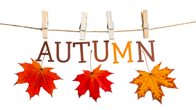 Colorful autumn leaves hanging on a line