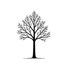Leafless Tree Line Art – Minimal Outline Illustration