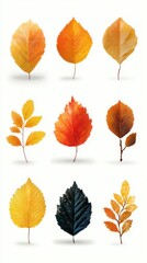 Fototapeta premium Colorful autumn leaves arranged in a grid showcasing vibrant hues of orange and yellow