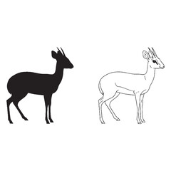 Obraz premium A Dik-dik Pair - African Native - Slender Legs - Dik-dik silhouette - Dik-dik lineart - Dik-dik vector - vector set of Dik-dik