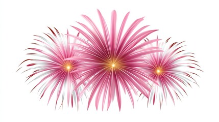 Fireworks Extravaganza: A stunning display of vibrant fireworks explodes, illuminating the night sky with bursts of color and a captivating spectacle.