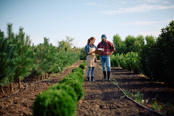 Tree nursery owners analyzing reports in field.