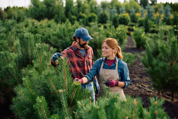 Happy tree nursery owners during quality control in field.