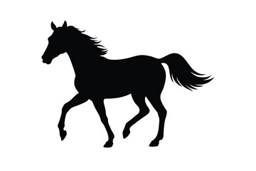 Obraz premium horse silhouette 