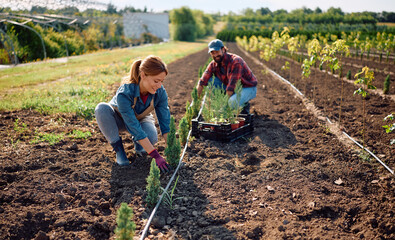 Happy plant nursery workers planting young trees in soil.