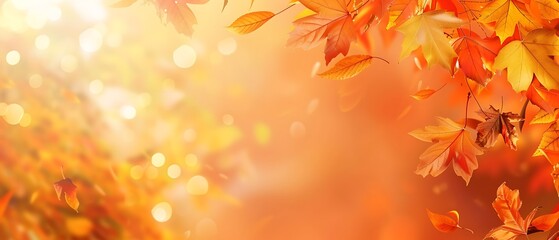 Golden bokeh and falling autumn leaves in warm sunlight, a beautiful natural scene.