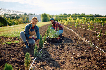 Happy workers enjoying in planting tree seedlings on field at plant nursery.