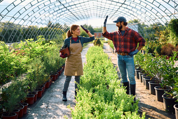 Happy plant nursery workers giving high five.