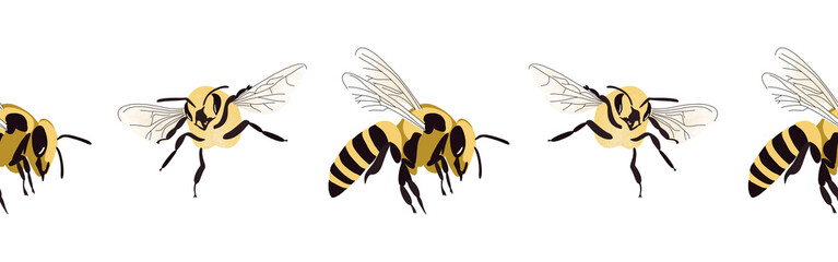 Bee icon border. Bee silhouette symbol. Bee border isolated on white background