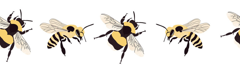 Bee icon border. Bee silhouette symbol. Bee border isolated on white background