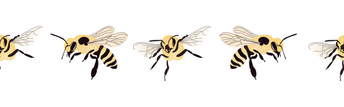 Bee icon border. Bee silhouette symbol. Bee border isolated on white background