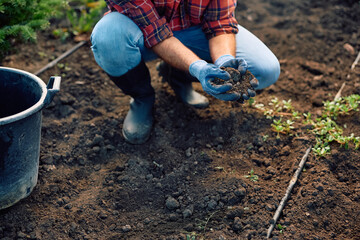 Close up of garden center worker inspecting soil before planting tree seedlings.