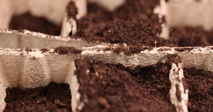 filling pots from a paper and peat with fertile soil, preparing cups for seedlings and filling them with soil before the sowing season