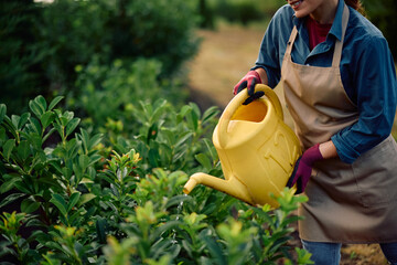 Close up off plant nursery worker using water can while watering tree seedlings.