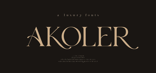 Naklejka na ściany i meble Elegant alphabet beauty logo font. Classic Modern luxury Serif Minimal Fashion. Typography decoration logotype fonts, wedding, logos. vector illustration