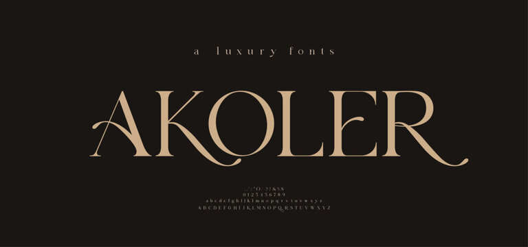 Elegant alphabet beauty logo font. Classic Modern luxury Serif Minimal Fashion. Typography decoration logotype fonts, wedding, logos. vector illustration
