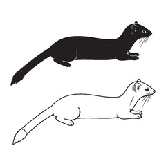 An Ermine Pair - Snow Camouflage - Pointed Snout - Ermine silhouette - Ermine lineart - Ermine vector - vector set of Ermine

