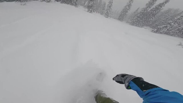 Thrilling downhill ski descent through deep forest snow
