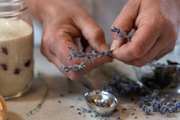 Stripping Lavender Buds for Botanical Syrup