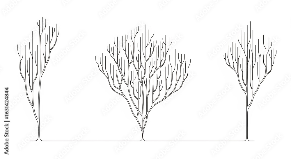 Poster minimalist line art of leafless trees in a row in black and white
