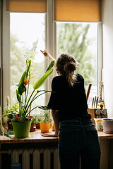 Woman opening window in the morning, back view