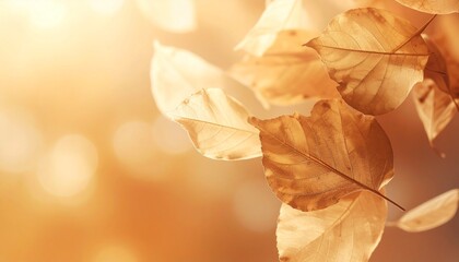 A gentle vertical composition shaped by golden and copper shades of autumn