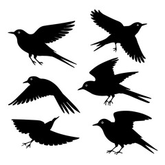 Collection of bird silhouettes flying in various poses
