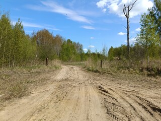 Pile of sand. Large pile of sand in countryside. Grass is growing on it. Trees and bushes are...