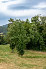 Pleigne est un village situé sur une colline (809 mètres) au nord-ouest de Delémont, dans le Jura suisse.