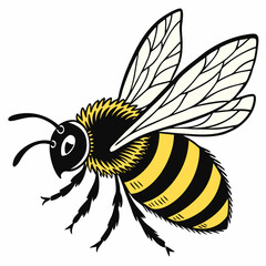 Honey Bee Vector