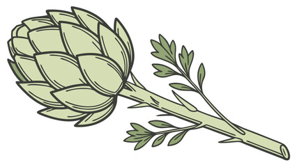 Artichoke and Herb Illustration