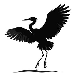 Fototapeta premium Heron Bird Spreading Wings Silhouette