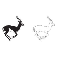 The Gazelle Form Presentation - Herbivore Diet - Delicate Look - Gazelle silhouette - Gazelle lineart - Gazelle vector - vector set of Gazelle

